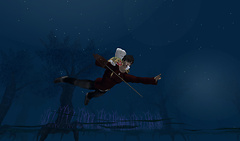 Photohunt Rouge Forest Dream