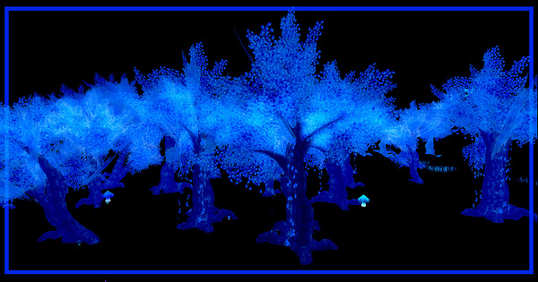 blue forest