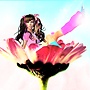 Mon Amie la Rose