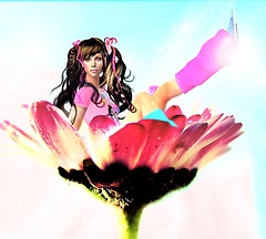 Mon Amie la Rose