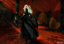 *Hells Bells Studio* SouZou Exibit/Elf