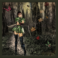 Autumn woods