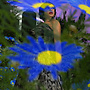 @Forest Feast