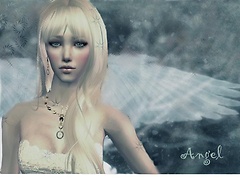Letiziadi angelo2