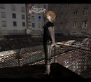 NorthFarthing_008