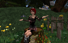 Sitting with the birds