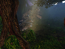 Straylight_002