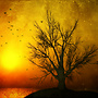 Mambo Sun