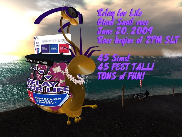 Snail Race Promo Poster