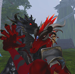 anima and me