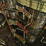 Snapshot_149