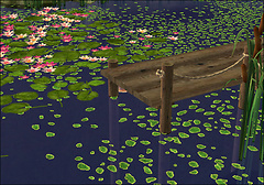 At the Dock 2