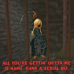 All your gettin outta me is name rank & serial no.