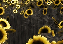 Sunflowers 2