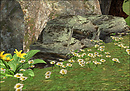 Daisy Daisy