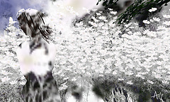 090322 Lost in the Flowers