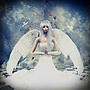 An angel