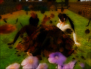 Autumn Play