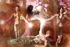 magic wedding *__*