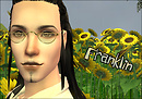 Franklin Sunflower Portrait