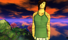 Snapshot_030