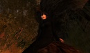 ForestFeast Maggie_036