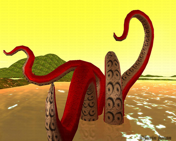 octopus