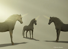 unicorn meeting