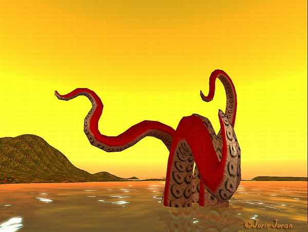 octopus