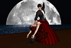 Moonlight Dance