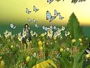 Second Life からのポストカード - teto Sosa