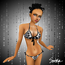 DamaskBikiniDisplay