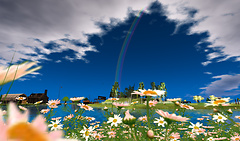 Big rainbow after the heavy rain