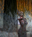 anglegate burning grass