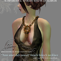 Ami Amet Deli Pencet French Brooch Necklace