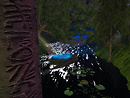 Blossom_001