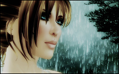 Have you Ever seen the Rain
