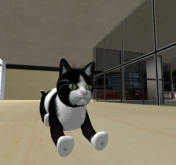 Poochi_001
