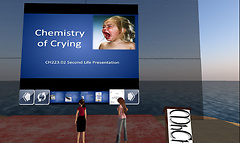 The Emotional Chemistry Presentation