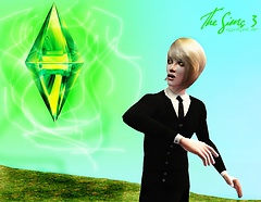 essence of the sims 3