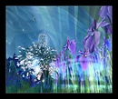 Côté fleur bleue