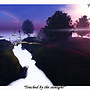 touchedbythesunlight