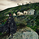So..i have to sell a sheep...→