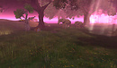 Snapshot_091