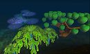 Chakryn- Undersea garden