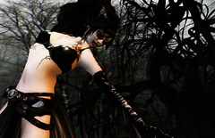 Pandora's Delight III