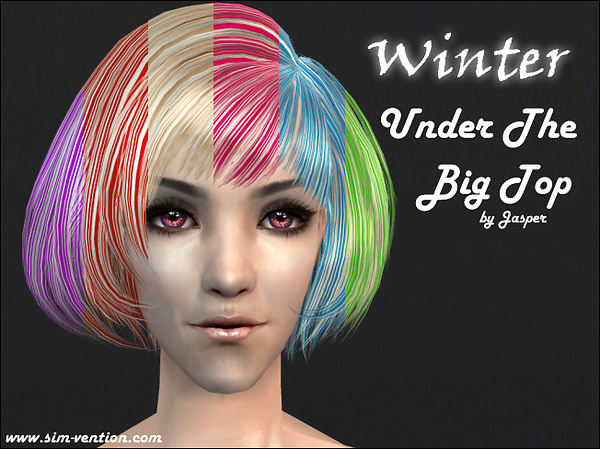 Winter Under the Big Top - Hair
