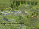 10 Algae Swamp Water Terrains
