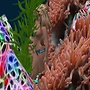 Secret Cove 2