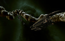 Eve Online: battleship